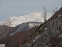 2018-02-05 Monte Corvo 061